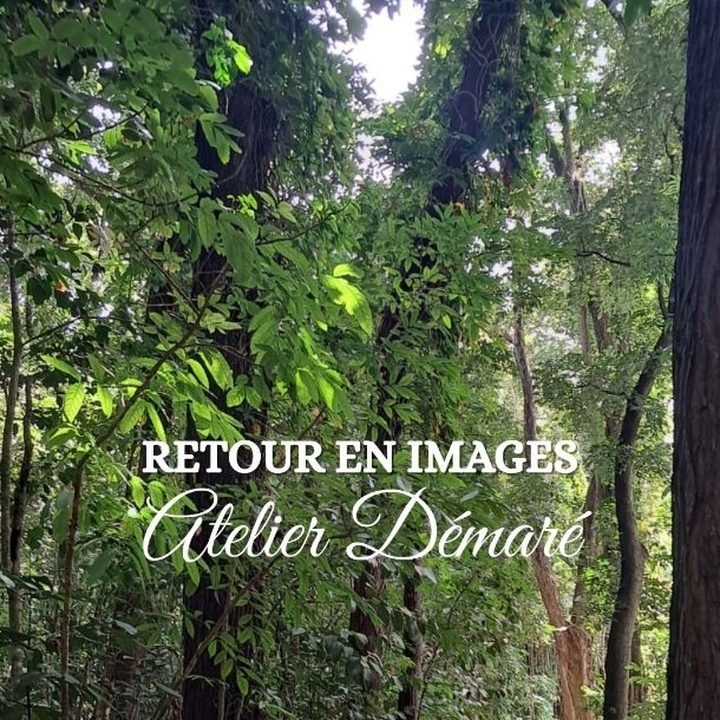 Retour en images sur un atelier en pleine nature