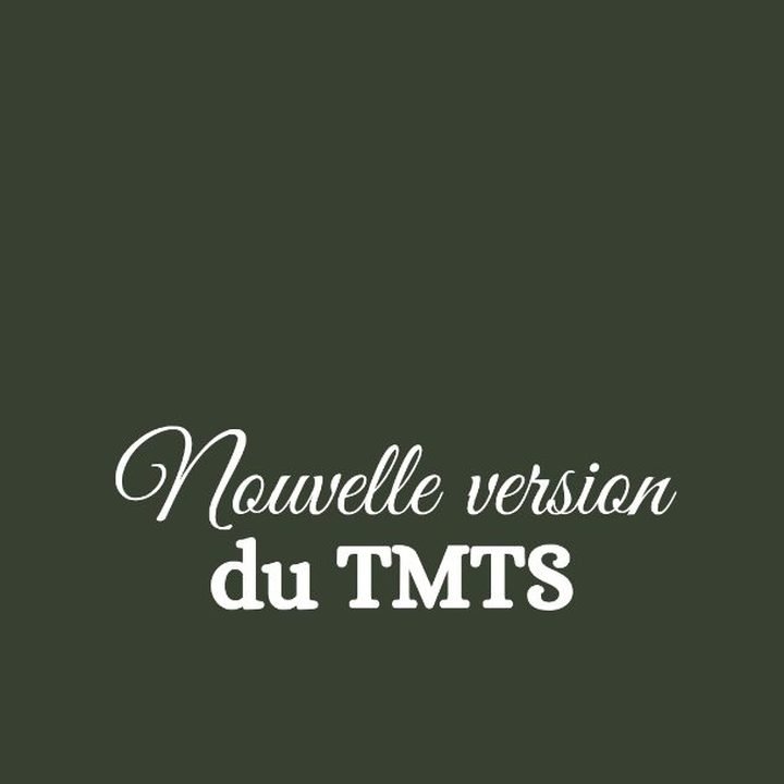 La nouvelle version de l'atelier TMTS